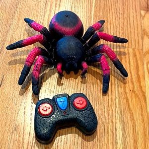 Remote Controlled Spider